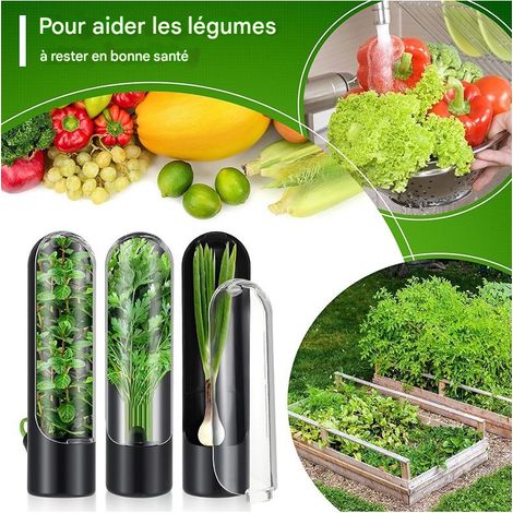 Lot de 4 conservateurs d'herbes aromatiques et de coriandre noir et blanc, design innovant, anti-écrasement, étanches et écologiques pour le rangement au réfrigérateur