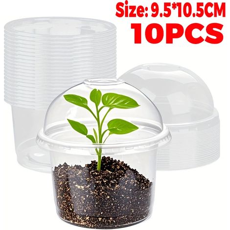 (10 pièces) Pots de pépinière avec couvercle, pots de jardinage transparents en plastique, pots pour observer les racines, conteneurs de germination. (1/4)