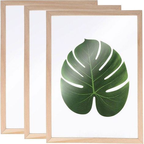 Cadre herbier A4 - ARTEMIO - Lot de 3 - Bois démontable - Plaques plexiglas - Crochet de suspension (1/4)