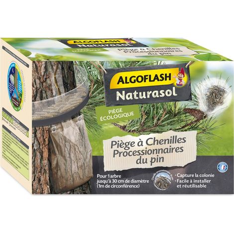 ALGOFLASH NATURASOL Trappola per ciniglia processionari del pino, trasparente