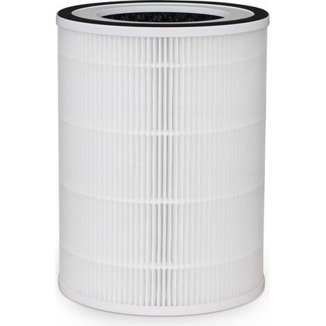 Filtro para purificador de aire Webber AP8550 HEPA 13 PRO 5 PureAir (1/2)