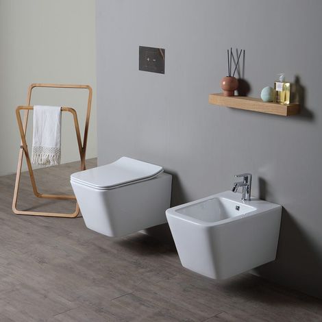 Wc Und Bidet Kombination Für Wandmontage Rock