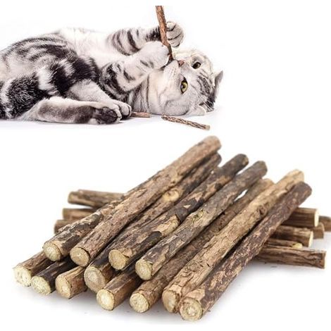 Lot de 30 Bâtons Molaires pour Chat, Jouets à Herbe Matatabi Silvervine Naturels avec Dentaires pour Chaton (1/5)
