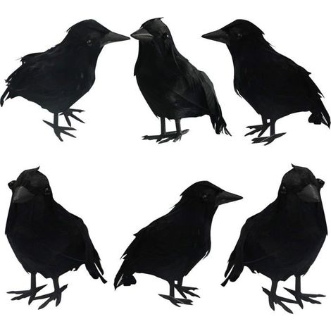 Schwarze Krähen mit Halloween-Federn, 6er-Set Halloween-Dekorationen mit echten Federn (1/4)