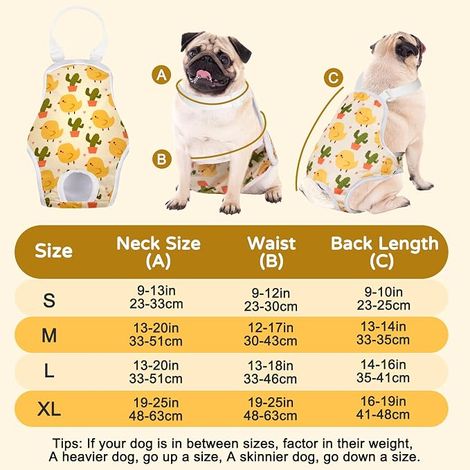 Dog Sanitary Suit - Dog Puppy Diapers, Washable Pants with Straps (XL) (1/4)