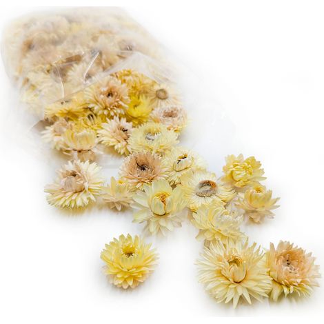 Immortelle séchée - Fleurs - (Immortelle) - Citron (1/4)