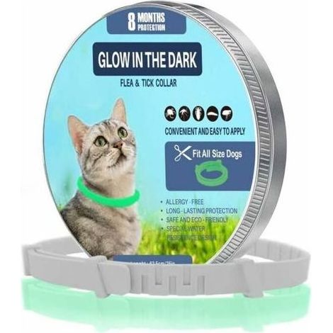 Collier Anti-puces Anti-tiques - Lumineux Dans Le Noir - Étanche - Réglable - Protection 8 Mois - Pour Chien Et Chat - 1 Pièce (1/5)