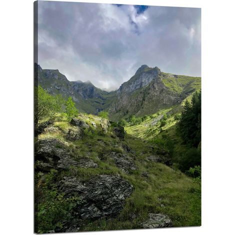 Leinwanddruck Natur Überwucherte Berge 50x70 cm