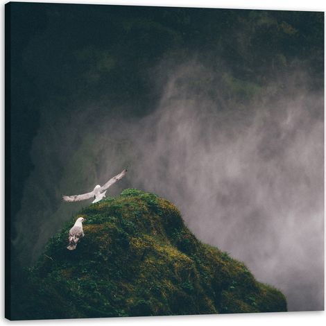 Leinwanddruck Natur Neblige Berge 80x80 cm