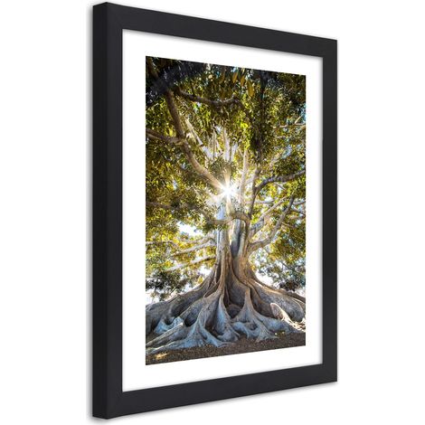 Quadro con cornice, Grande albero esotico - 20x30 (1/5)