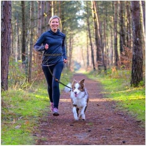 Pair Joggingleine avec ceinture Ventrale Freihandleine avec l'Étirement et la Ruckdämpfung pour les moyennes et les Chiens de grande taille les Mains Libres pour la course à Vélo Poussette Sport (1/4)