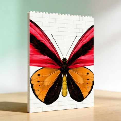 Cadre adulte en blocs de construction, cadeau pour saint valentin (1/5)