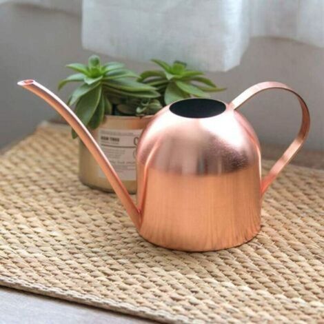 Stainless Steel Plant Watering Can, Indoor Garden Metal Watering Can Long Mouth Outdoor Watering Can with Spout for Home Plants Garden Watering Kettle Small 500ml