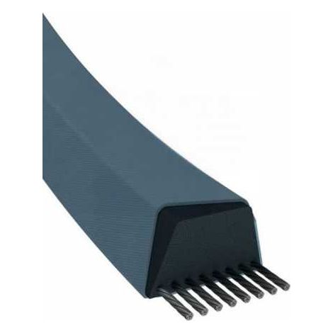 Courroie tondeuse Mitsuboshi LB35 trapézoïdale  16,5 x 901 mm (1/5)