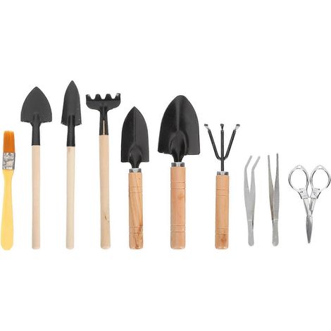 Kit de 10 outils pour la plantation de plantes succulentes et de bonsaïs. (1/5)