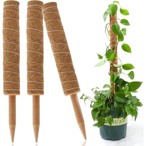 Allecta Stützstangen für Kletterpflanzen und Monstera, 3er Set, verstellbare Kokosnussmoosstangen, 40 cm (1/5)