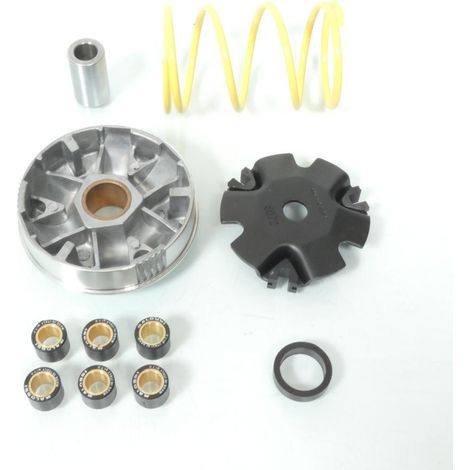 Variateur Malossi pour mobylette Peugeot 50 Fox 517073 Neuf