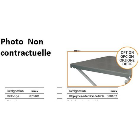 Leman - Rallonge pour LOSST315 Leman (scie sur table à chantier) - 070101 (1/3)