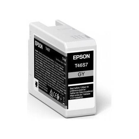 Epson UltraChrome Pro cartuccia d'inchiostro 1 pz Originale Grigio