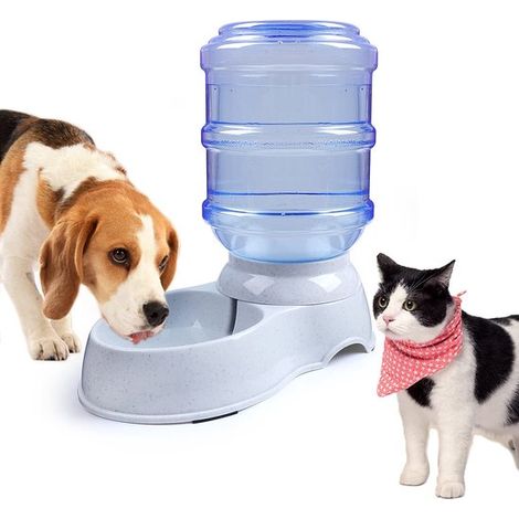 Fontaine à eau pour animaux 3,8 L – Distributeur automatique pour chiens et chats – Réservoir rechargeable – Alimentation par gravité – Pour animaux domestiques (1/5)