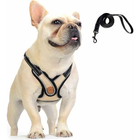 Green Mobility-Dog Harness with Lead, Adjustable Dog Vest, Soft Mesh Cat Dogs Puppy Harness and Lead Set (1/5)