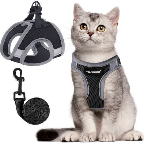 Ensemble Harnais et Laisse pour Chat (1/5)