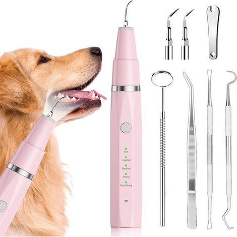 Ynkkvre - Nettoyeur de dents ultrasonique pour animaux – Étanche IPX8 – 5 modes pour chiens et chats – Rechargeable par USB – Soins buccaux sans douleur (1/5)