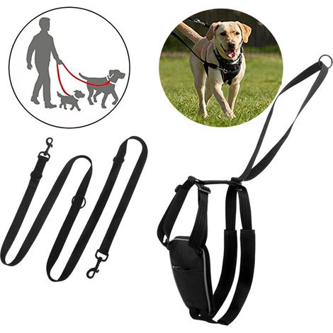 Harnais Anti-Traction pour Chien avec Laisse de Dressage, Rembourrage Doux et Réglable, Promenade et Éducation Canine pour Chien, Harnais de Sécurité Noir (1/5)