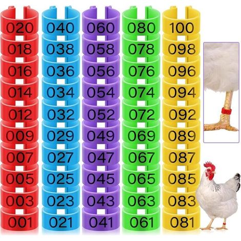 100 anneaux pour cuisses de poulet, 16 mm, 5 couleurs numérotées, adaptés à la volaille (canards, poussins, pigeons, oies, etc.) (1/5)