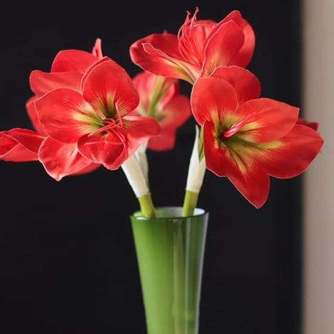 Lot de 3 bouquets d'amaryllis artificielles en soie rouge de 54,6 cm pour maison, bureau, hôtel, décoration de centre de table de mariage (rouge) (1/5)