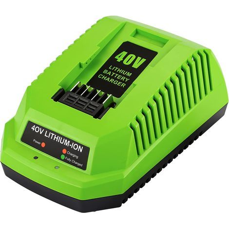 Applicable Applicable 40V Chargeur pour Greenworks Chargeur 40V G40C pour Greenworks Batterie (1/5)