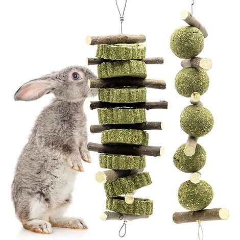 Jouet à mâcher pour lapins, bâtonnets de pomme naturels pour lapins, chinchillas, cochons d'Inde, hamsters (1/5)