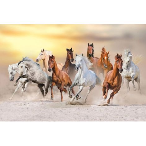 Tapis magnétique pour cache radiateur Chevaux au galop 60x100cm (1/3)