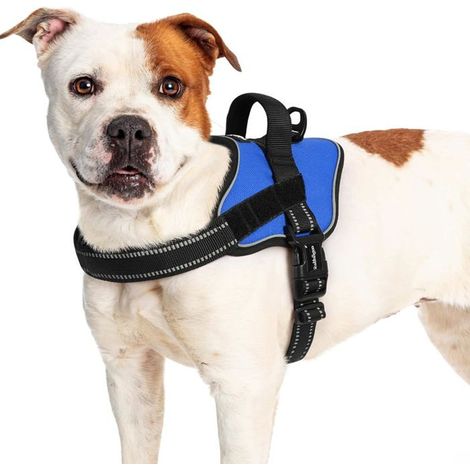 Harnais Chien Harnais Anti Traction pour Chien Réfléchissant Réglable Respirant Facile à Mettre avec Poignée Contrôle Bleu L