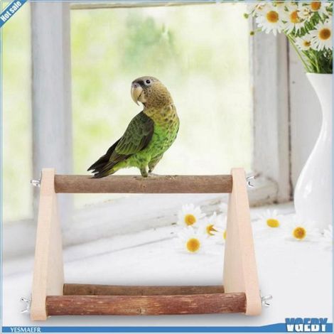 Ashata Jouets de perche pour oiseaux Support des Oiseaux Support en Bois Non pour les Perroquets, les Jouets et animalerie jouet (1/5)