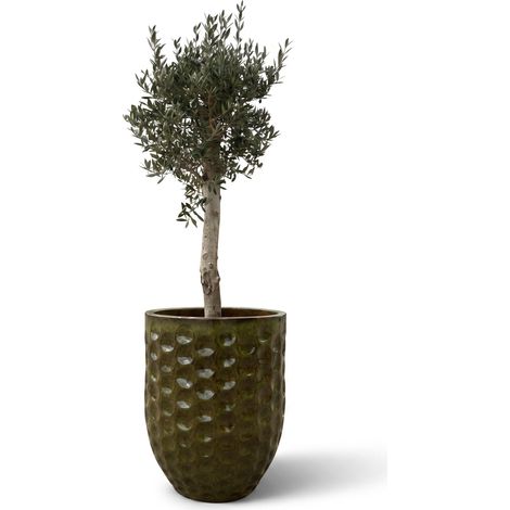 Lote olivo + maceta MEROVEE 55x65cm verde tropical