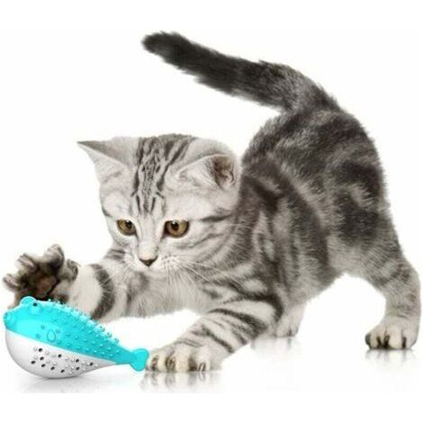 Cat Dental Toy, Cat Toy Sili Molar Toy Chewing Cone Toy Kitten Catnip Toothbrush Fish Shape Interactive Toy Cat Dental Hygiene(Blue)-Fei Yu (1/4)