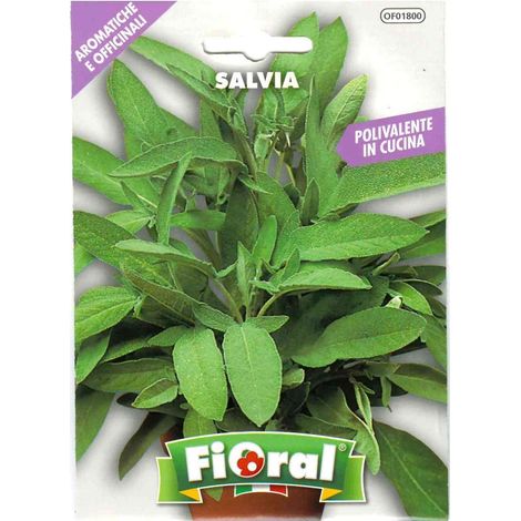 Semences de plantes aromatiques et officinales en sachet pour jardinier amateur (1/5)