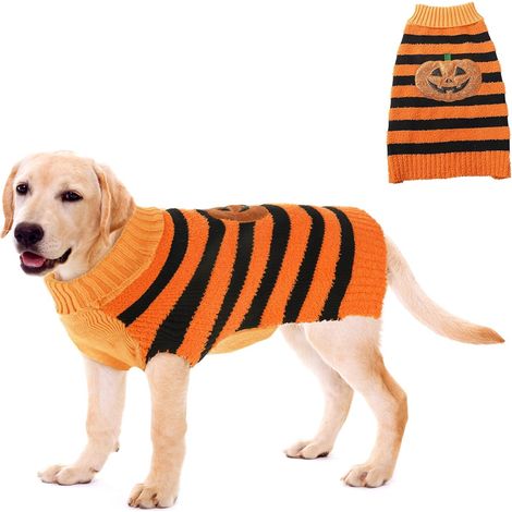 Pull en forme de citrouille d'Halloween pour chien (1/4)