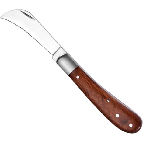Couteaux de camp à champignons, manche en palissandre, couteaux pliants de survie pour la chasse en extérieur (1/5)