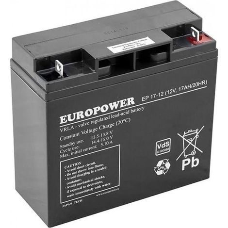 Batería AGM EUROPOWER 19234 EP 17-12 12V 17AH Negro (1/2)