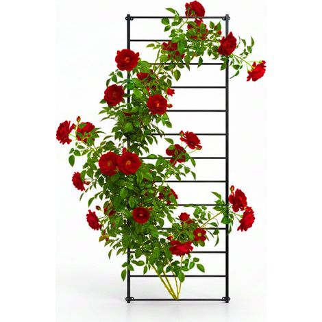Relaxdays Wall trellis, 1-piece set, HxW: 210 x 76 cm, climbing plant support, steel, black (1/5)