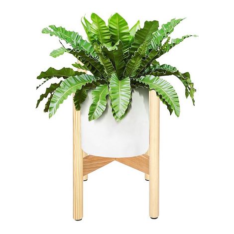 Stojak per fiori 35 cm in legno chiaro.