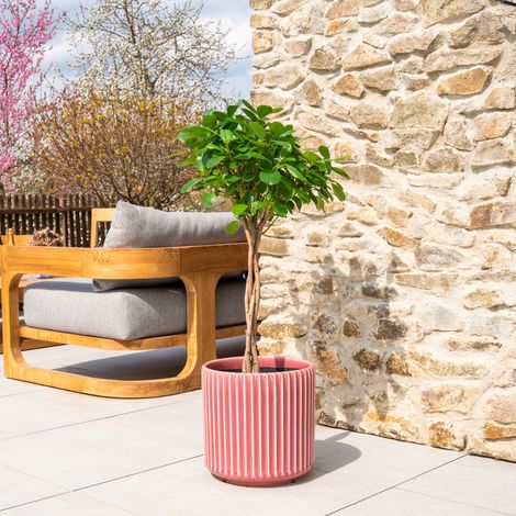Vaso LONDON 29x30cm Rosa