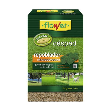 FLOWER Semillas de Césped Repoblador, 1 kg