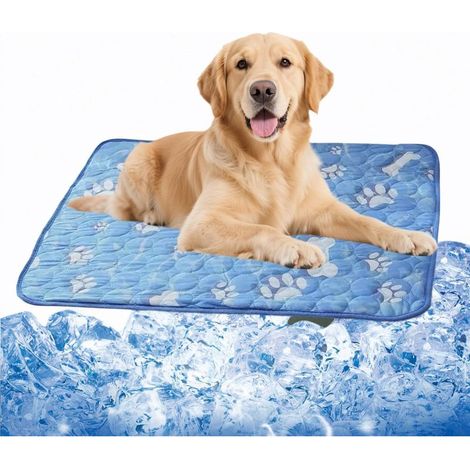 Tapis rafraîchissant pour chien XXL (140 x 100 cm), recommandé pour les chiens de moins de 80 livres (environ 36 kg). (1/5)