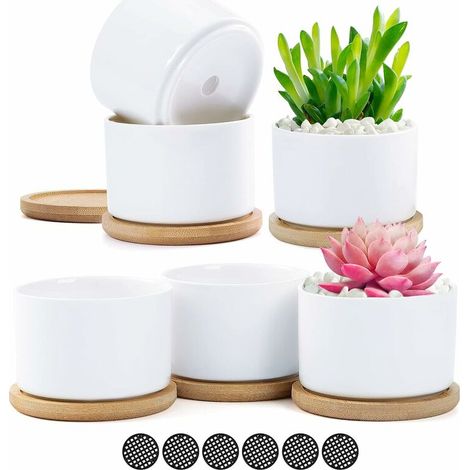 6pcs White Ceramic Succulent Pot Flower Pots Small Container Pot with Bamboo Tray for Flower Plant Grass Gift for Wedding Christmas Birthday (1/5)