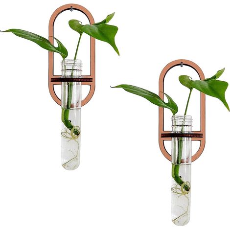 Jardinière murale pour stations de multiplication, vase tubulaire terrarium avec support (1/5)