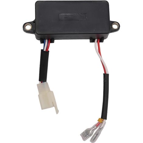 Spannungsregler EC2500 für Honda Predator, Champion, Firman und Watt Generatoren (2 kW, 3 kW und 3,5 kW) (Art.-Nr. 290440009). Spannungsstabilisator für Honda Predator, Champion und Firman Generatoren (1/5)