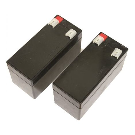 BATTERIE 1.2 AH POUR FLIPPER SEA